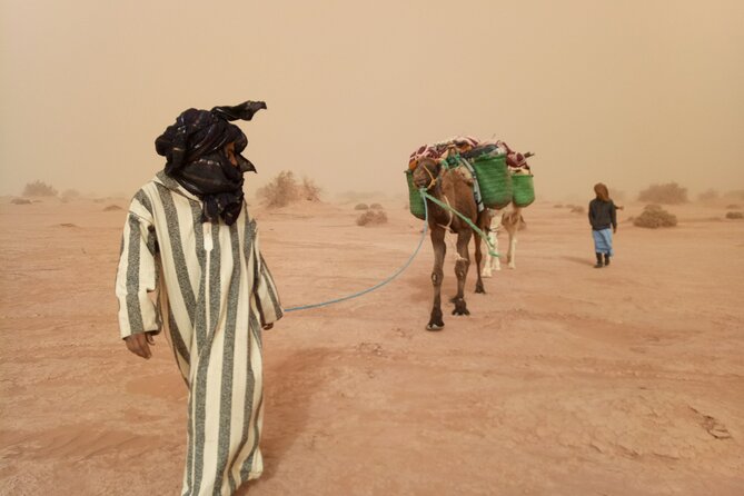 4 days trek - The legs of camels - Crossing the ergs and the large dunes