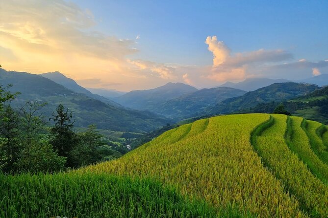 4 Days Trekking Hoang Su Phi, Ha Giang. Private Hiking Group - The five details that matter most
