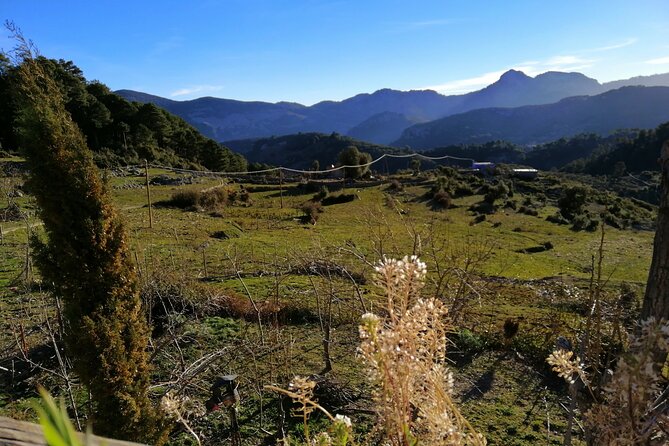 4 days trekking in the Rif mountains - Day 4: A final view back toward Chefchaouen