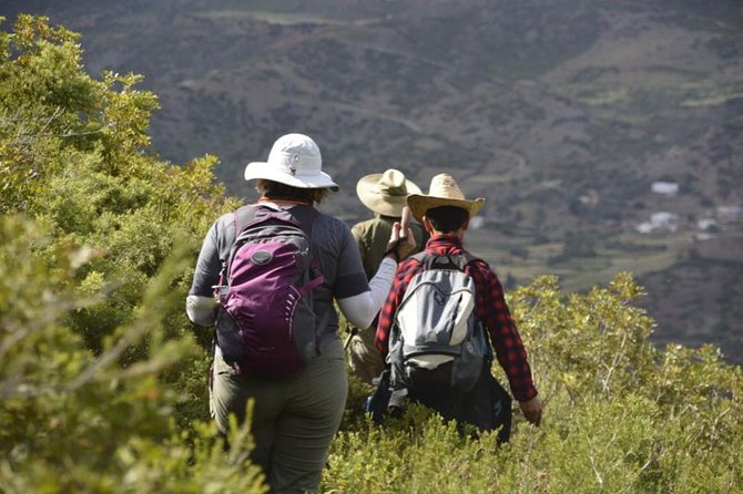 4 days trekking in the Rif mountains - Fitness, gear, and the honest difficulty level