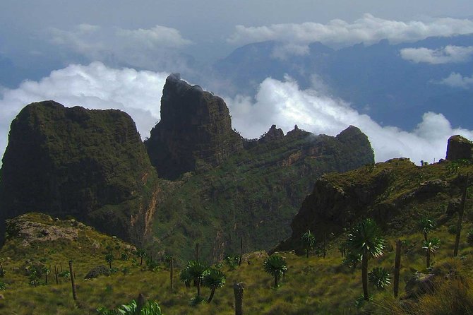 4 Days Trekking to Simien Mountain National Park - What the $275 price means