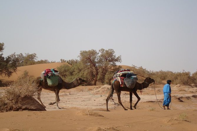 4 Days Trekking To The Heart Of Desert - Key things to know before booking