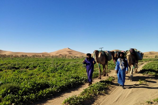 4 Days Trekking To The Heart Of Desert - Practical details before you go