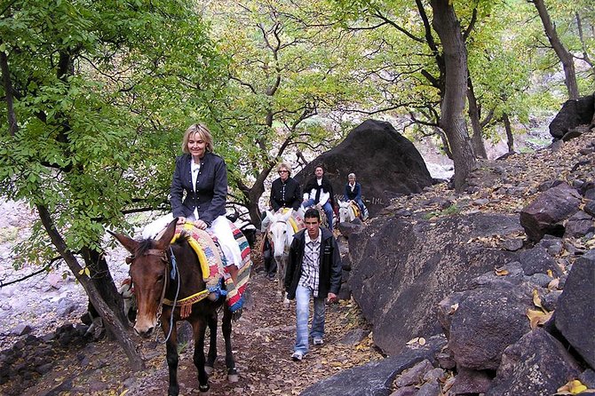 4 hours trekking in the Atlas mountains from Marrakech - Returning through the valley to Marrakech