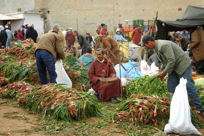 4 hours trekking in the Atlas mountains from Marrakech - What $46.98 buys you