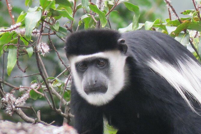 5-Day Bwindi Gorilla and Chimpanzee Trekking Safari in Uganda - Day 3: The long road to Bwindi