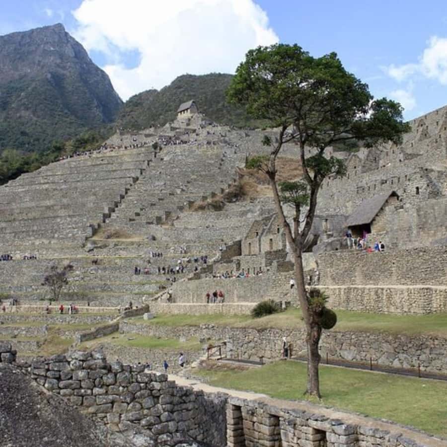 5-Day Classic Salkantay Trek to Machu Picchu return by Train - Sleeping arrangements and daily support