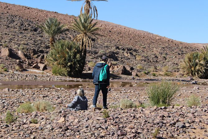5-day trek - In the Draa Valley - Leaving M’Hamid at 8:00 am