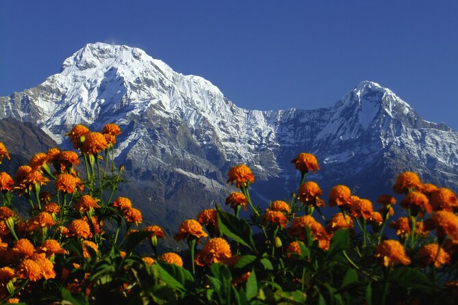 5 Days Annapurna Base Camp Trek - Why this short Annapurna route works