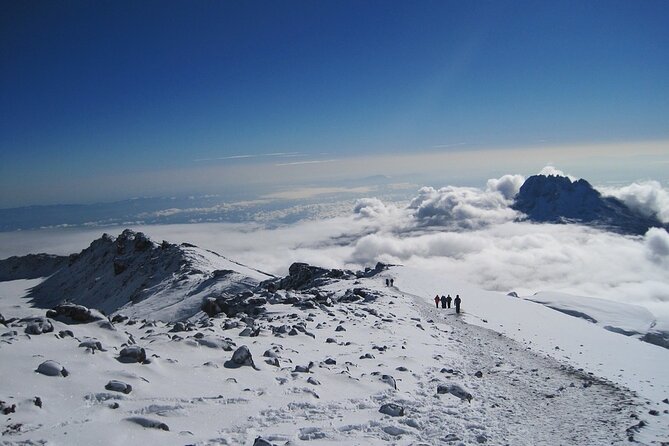 5 Days Kilimanjaro Trekking - Marangu Route - Day 1: From Marangu Gate into the rainforest