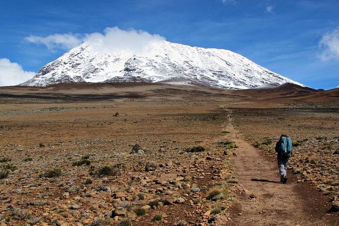 5 Days Marangu Route Kilimanjaro Trekking - Key Things To Know Before You Book