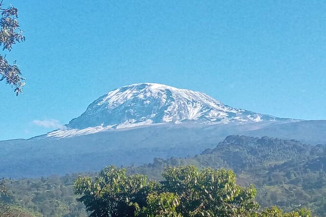 5 Days Marangu Route Kilimanjaro Trekking - Day 2: Horombo and the first real altitude test