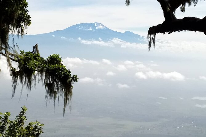 5 Days Marangu Route Kilimanjaro Trekking - Who should choose this five-day climb