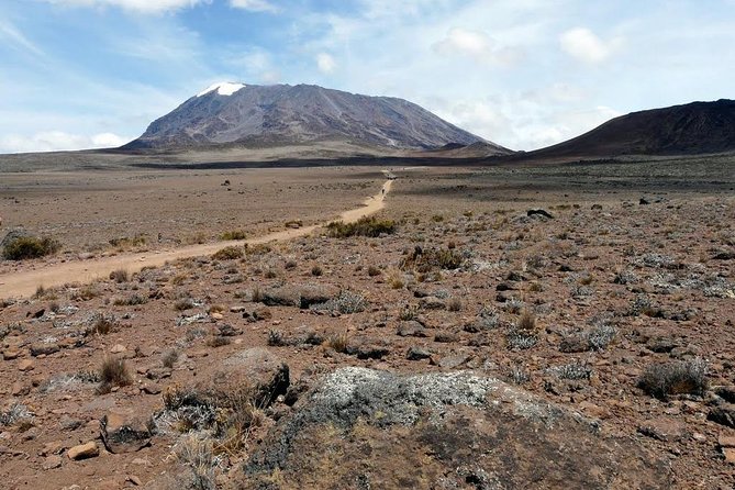 5 Days Marangu Route Kilimanjaro Trekking - Day 1: Forest trails from Marangu Gate to Mandara