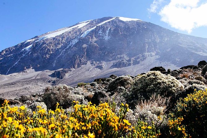 5 Days Marangu Route - Mount Kilimanjaro Trek - Day 5: the midnight climb to Uhuru Peak