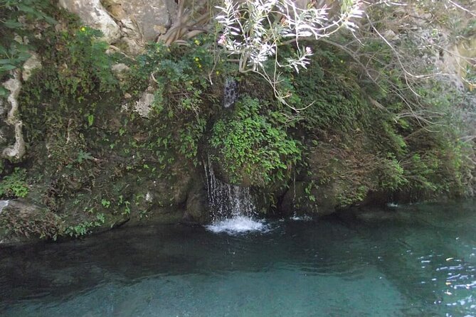 5-Hour Shared River Trekking in Kourtaliotiko Gorge - Cretan nature, gardens, and a friendly horse