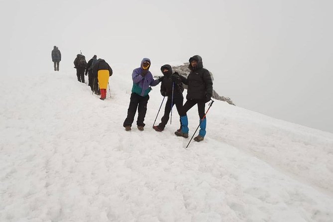 6-Day Kilimanjaro Machame Route – A Stunning Trek to Uhuru Peak - Day Six: Mweka Trail and the Return to Moshi