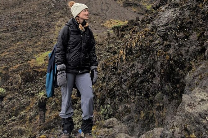 6-Day Rongai Route Trek in Mount Kilimanjaro - Day 1: Nale Moru fields and the pine forest