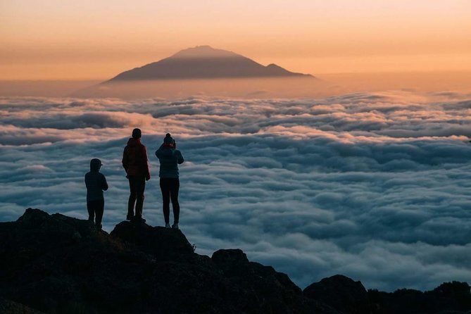 6-Day Rongai Route Trek in Mount Kilimanjaro - Day 3: Mawenzi Tarn and a useful acclimatization walk
