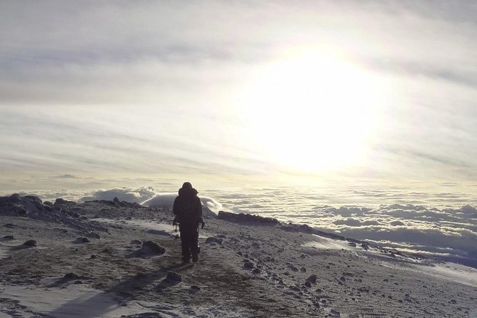 6-Day Rongai Route Trek in Mount Kilimanjaro - Day 6: The forest descent to Marangu Gate