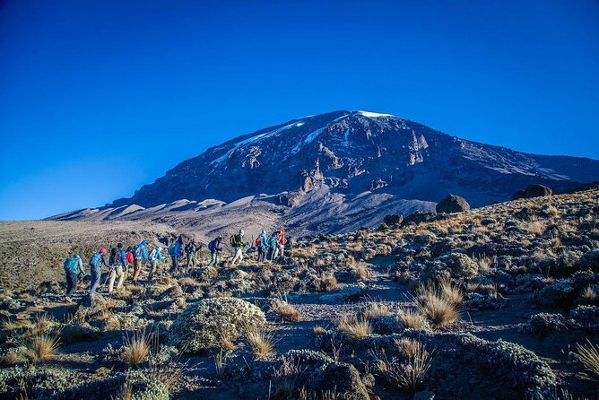 6-Day Rongai Route Trek in Mount Kilimanjaro - Day 2: Second Cave and the Kikelelwa area
