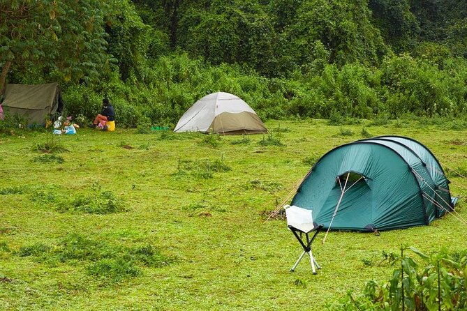 6 Days Bale Mountains Trekking - Day 5: Harenna Forest, waterfalls, and bamboo