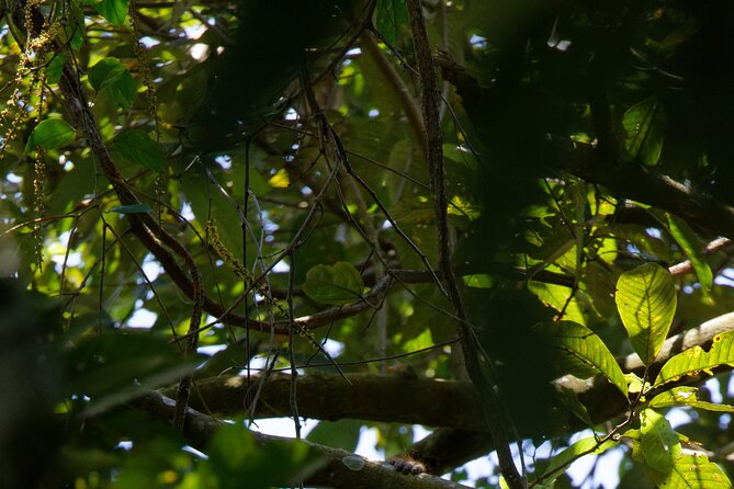 6 Days Bukit Lawang - Berastagi Tour (2D1N Jungle Treking + Sunrise Hiking) - Food, lodging, and transport: what is clear