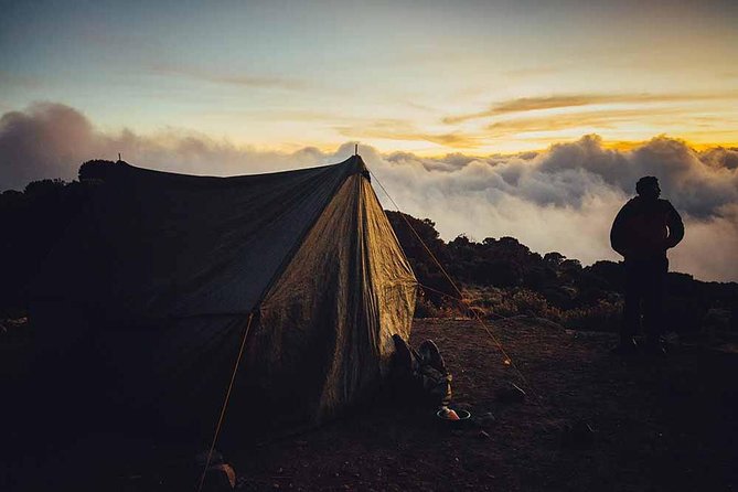 6 Days Kilimanjaro Trekking - Machame Route - Day 1: Machame Gate and the rainforest