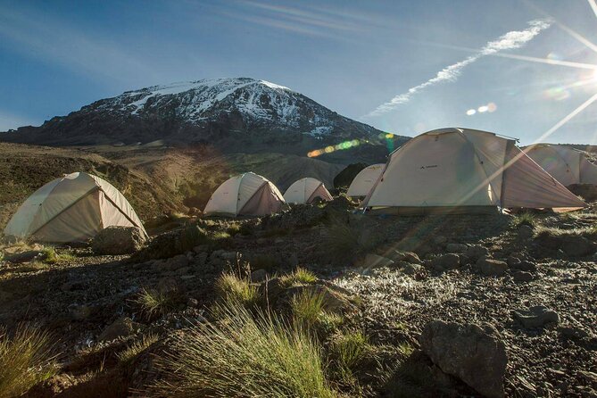 6 Days MARANGU ROUTE (Kilimanjaro Trekk) - Day 2: Heathland and the walk to Horombo Hut