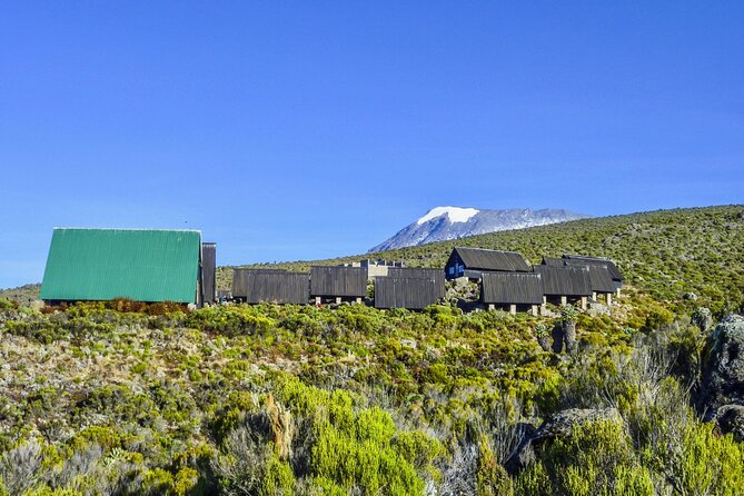 6 Days MARANGU ROUTE (Kilimanjaro Trekk) - Day 6: Returning through rainforest to Marangu Gate