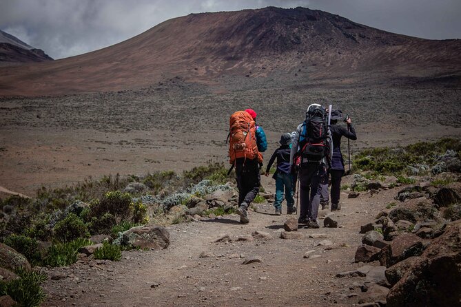 6 Days MARANGU ROUTE (Kilimanjaro Trekk) - Day 1: Marangu Gate to Mandara Hut