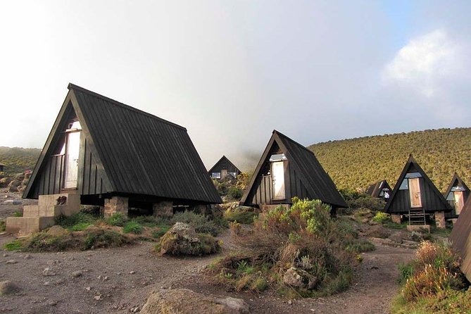 6 Days Marangu Route Trekking - Why the Marangu Route remains a practical Kilimanjaro choice