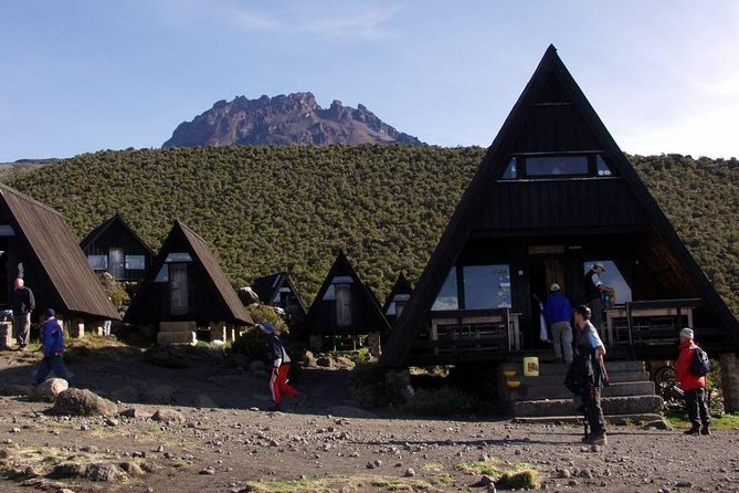 6 Days Mount Kilimanjaro Trek Marangu Route - Day 5: Kibo Hut to Uhuru Peak and back to Horombo
