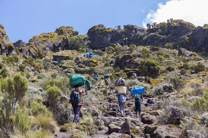 6 Days Mount Kilimanjaro Trek Marangu Route - Day 6: Horombo Hut to Marangu Gate and Moshi