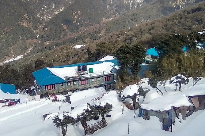 6 Days Poon Hill - Ghandruk Circuit Trek from Kathmandu - Day 3: Rhododendron forests and Ghorepani