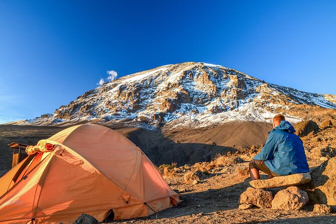 6 Days Trekking Marangu Route Mount Kilimanjaro - Day six: Cloud forest and the return to Arusha