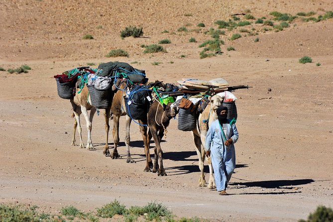 6 days trekking To The heart of Desert - Day 2: From MHamid to Sidi Naji