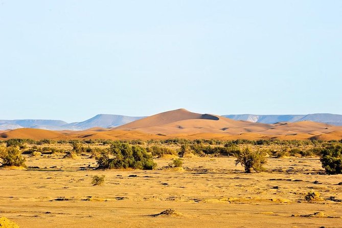 6 days trekking To The heart of Desert - Day 5: Returning to MHamid