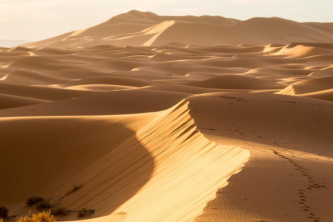 6 days trekking To The heart of Desert - What the $999.74 price includes
