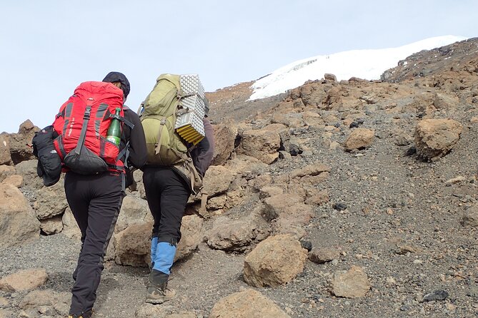 7-Day Kilimanjaro Trekking Tour via Machame Route - Day 4: Lava Tower high point and Barranco Camp