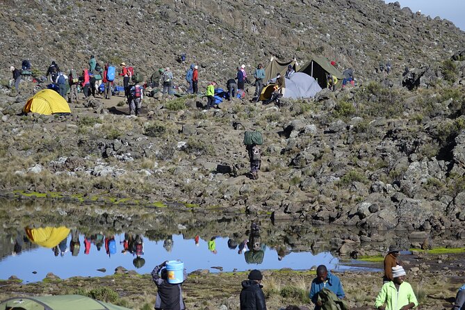 7-Day Kilimanjaro Trekking Tour via Machame Route - Day 6: The long push to Uhuru Peak