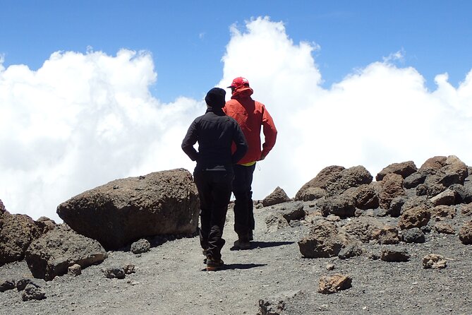 7-Day Kilimanjaro Trekking Tour via Machame Route - Day 7: Rainforest descent and a proper goodbye