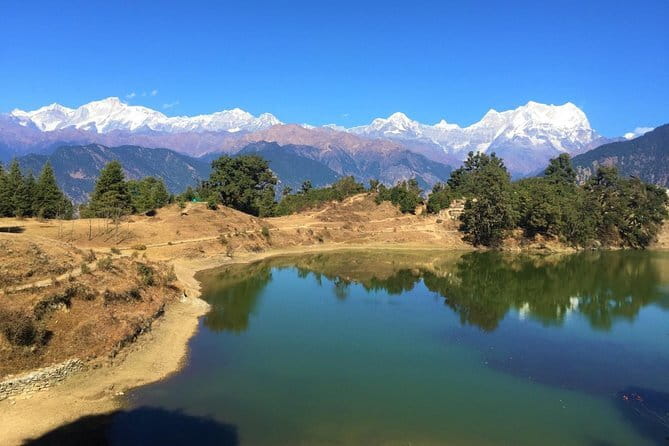 7-Day Kuari Pass Trek - Day 6: Gorson Meadow and the road to Joshimath