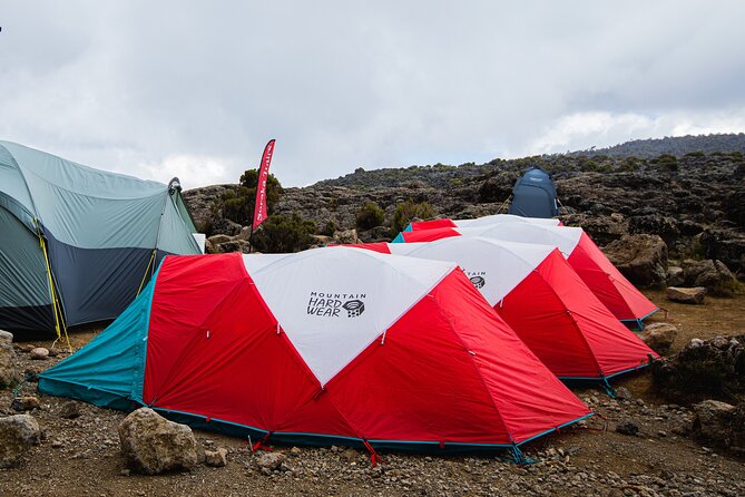 7 Day Trek To The Roof Of Africa Kilimanjaro via Machame Route - Day 3: Machame Camp to Shira Camp