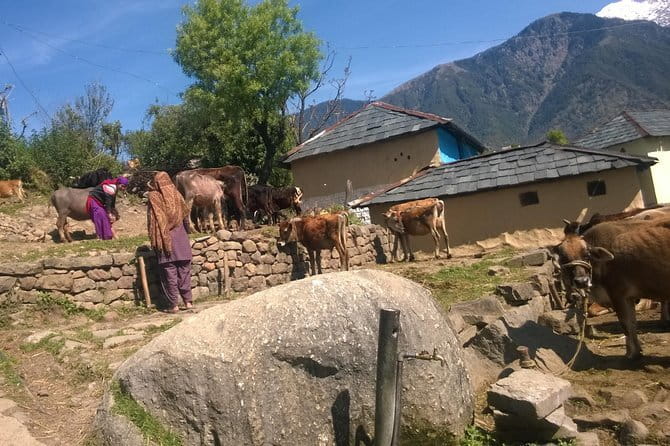 7 Days Dharamsala - Dalai Lama home Trek - Why this Dharamsala trek is worth considering