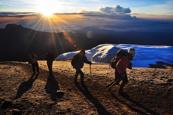 7 Days Kilimanjaro trek via Machame route - Key points to know before booking