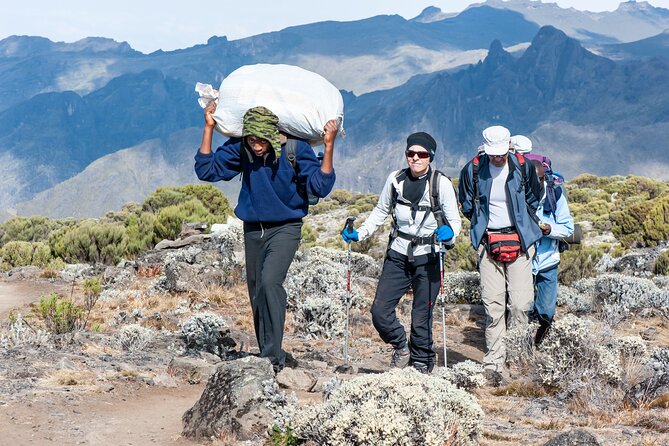 7 Days Kilimanjaro trek via Machame route - Day 4: The Barranco Wall and Karanga Valley