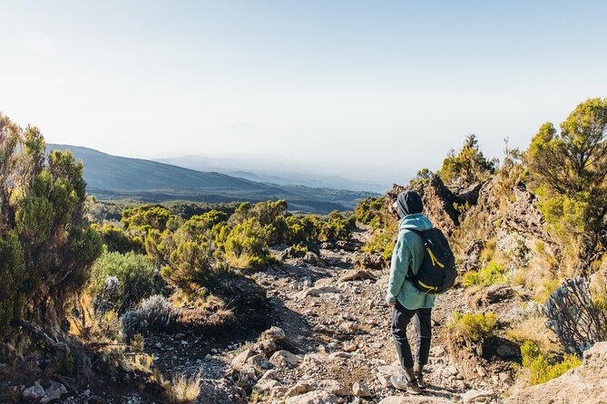 7 Days Kilimanjaro trek via Machame route - Day 7: Forest descent to Mweka Gate
