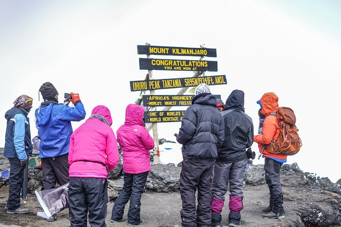 7 Days Kilimanjaro trek via Machame route - Day 2: Shira Plateau and the first real altitude