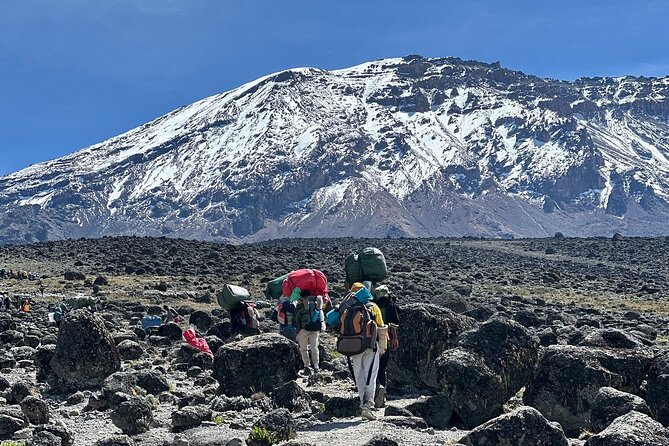 7 Days Kilimanjaro Trekking Machame Route - Key points to know before booking